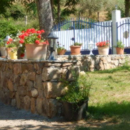 Ernella Hotel Aleria  Exterior photo
